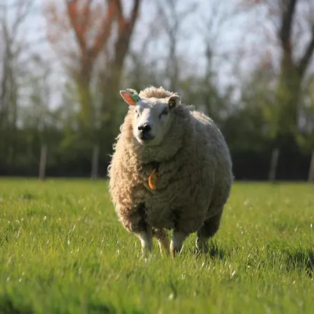 Comfortable Coastal Getaway Vakantiehuis